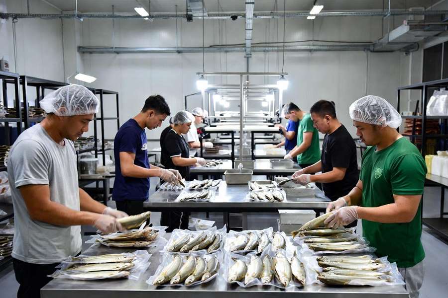 đơn hàng tokutei phân loại và đóng gói cá khô (2)