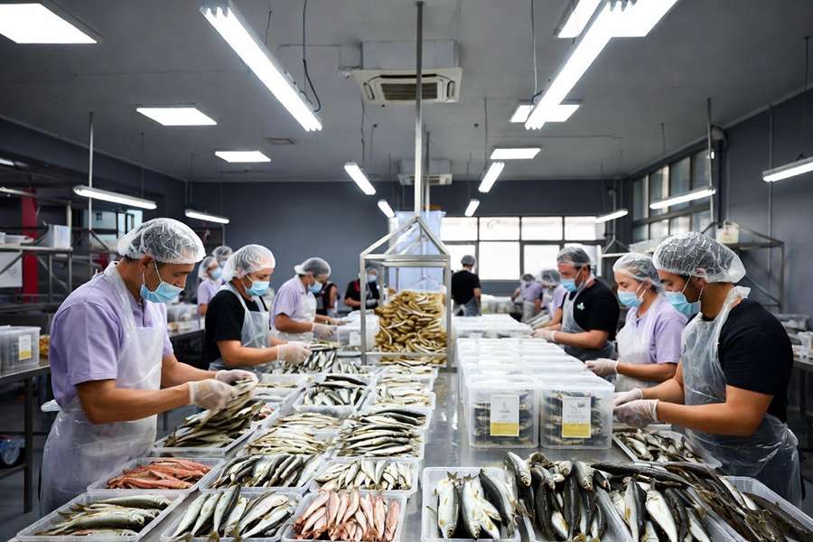 đơn hàng tokutei phân loại và đóng gói cá khô (3)